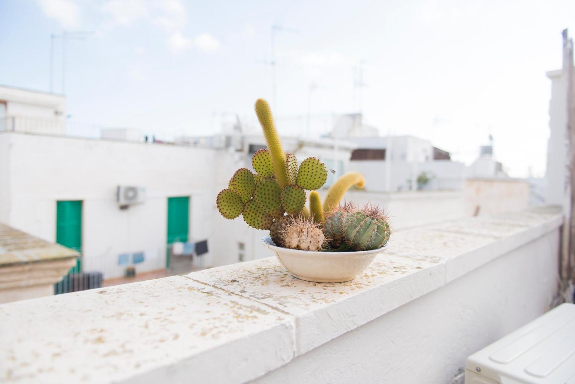 Apulianstay-A casa di Lavinia Monopoli Bagian luar foto